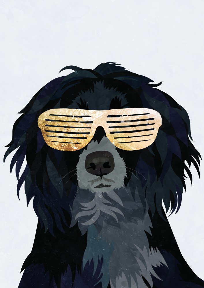 Hiphop Cockerspaniel von Sarah Manovski