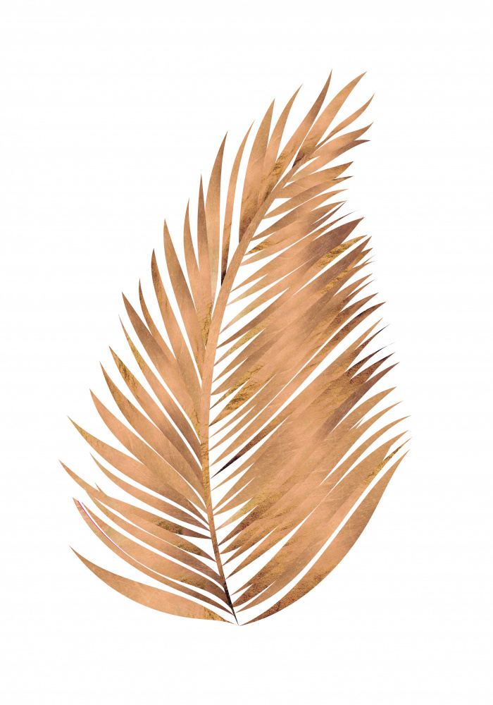 Copper gold palm leaf 6 von Sarah Manovski