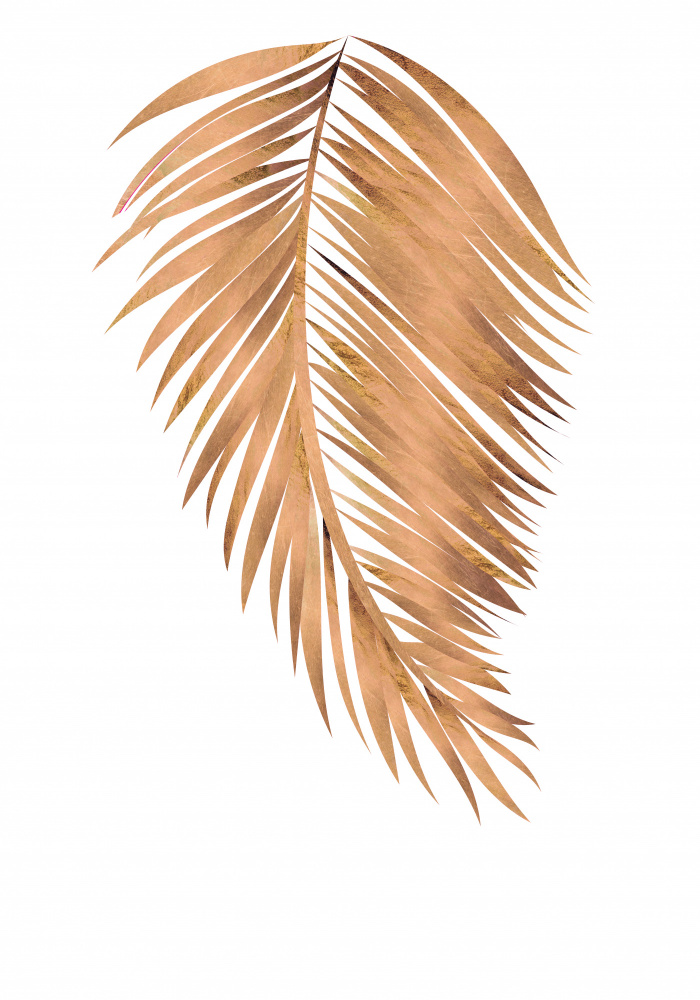 Copper gold palm, leaf 4 von Sarah Manovski