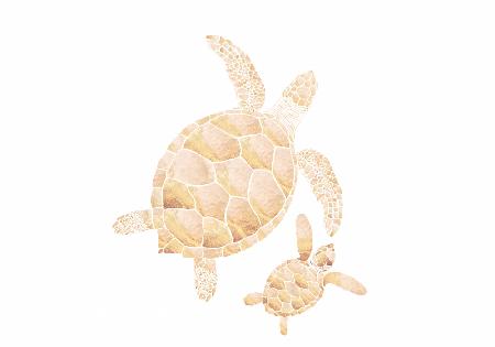 Landscape gold turtles white