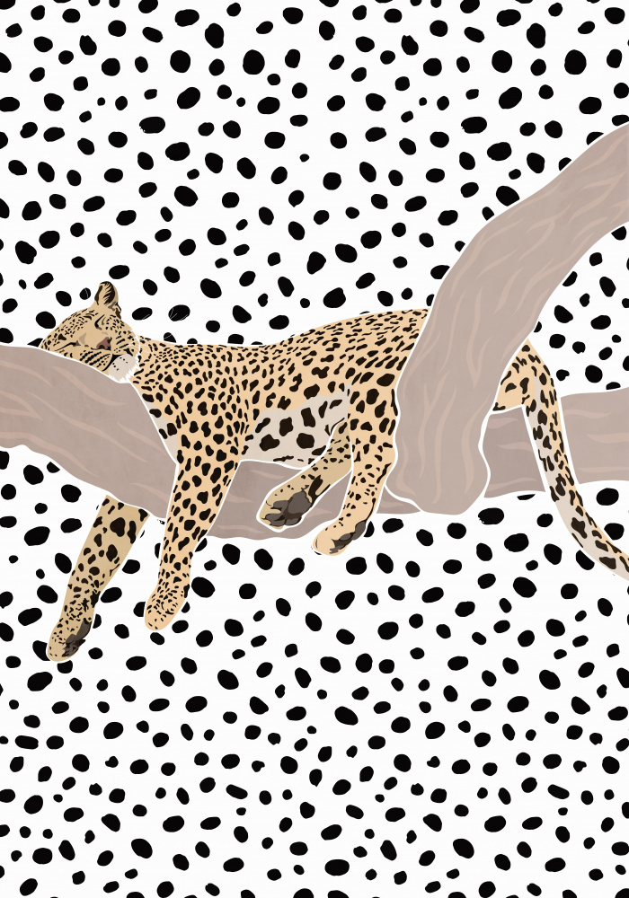 Leopard Sleeping Polkadots von Sarah Manovski