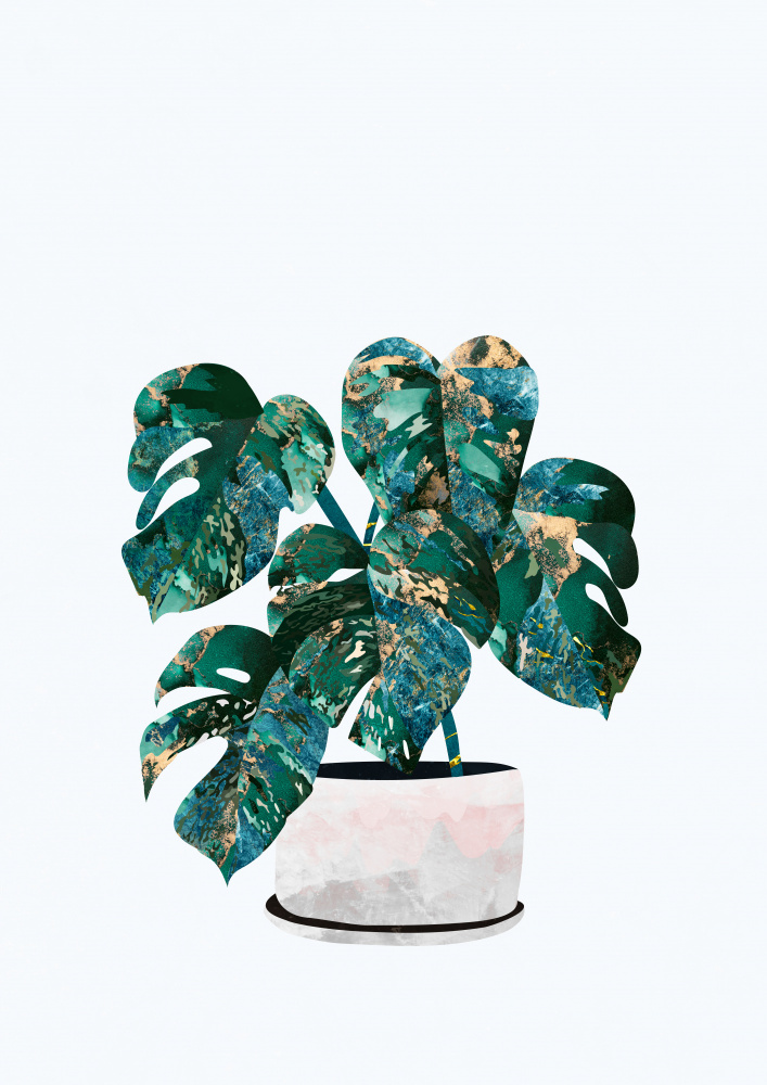 Monstera house plant von Sarah Manovski