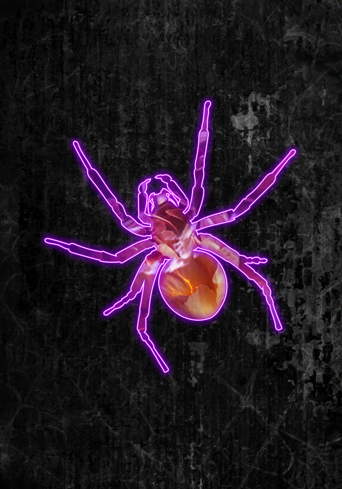 Neon halloween spider von Sarah Manovski