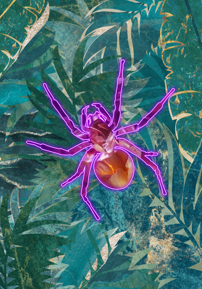 Neon Spider in the jungle von Sarah Manovski