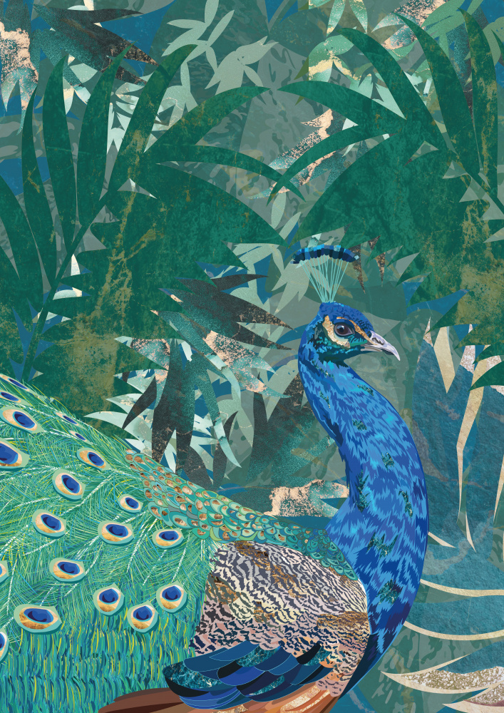 Peacock in the tropical jungle von Sarah Manovski