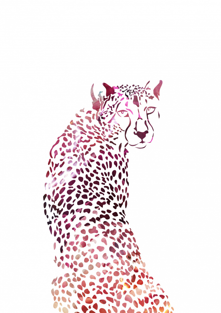 Pink Cheetah von Sarah Manovski