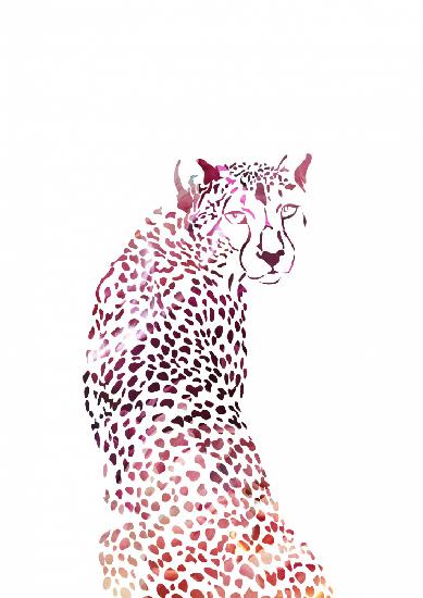 Pink Cheetah