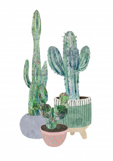 Scandi Japandi Cactus trio