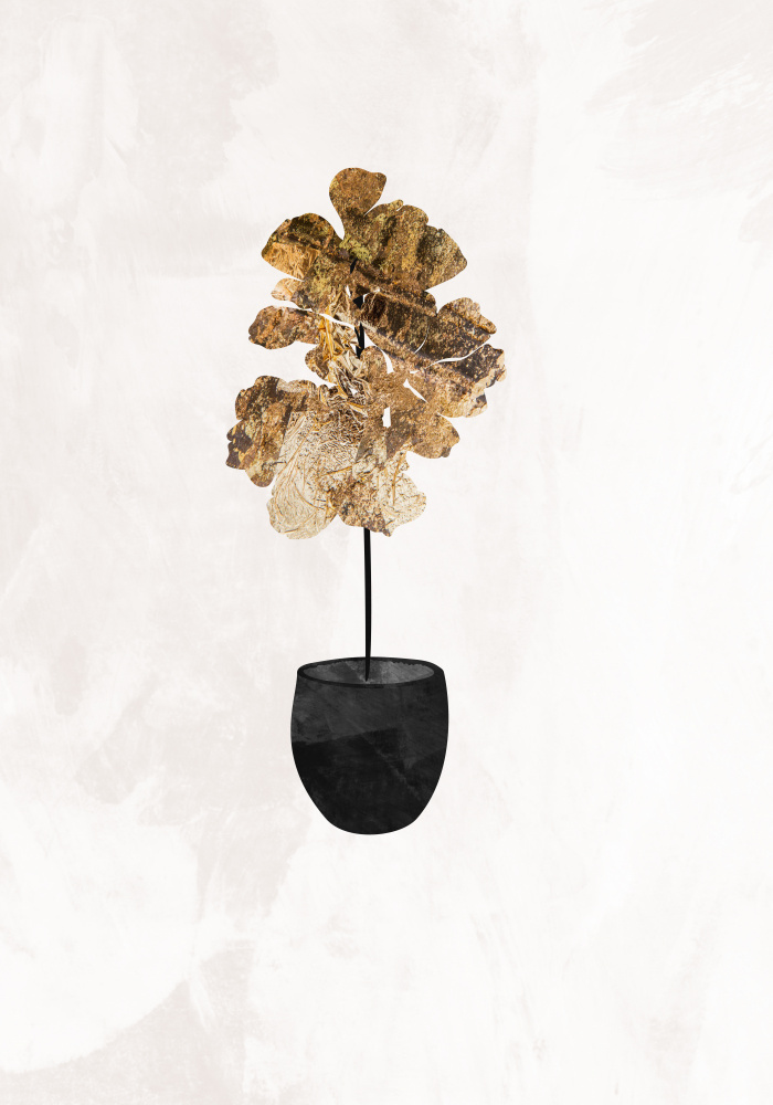 Black and gold house plant 6 von Sarah Manovski