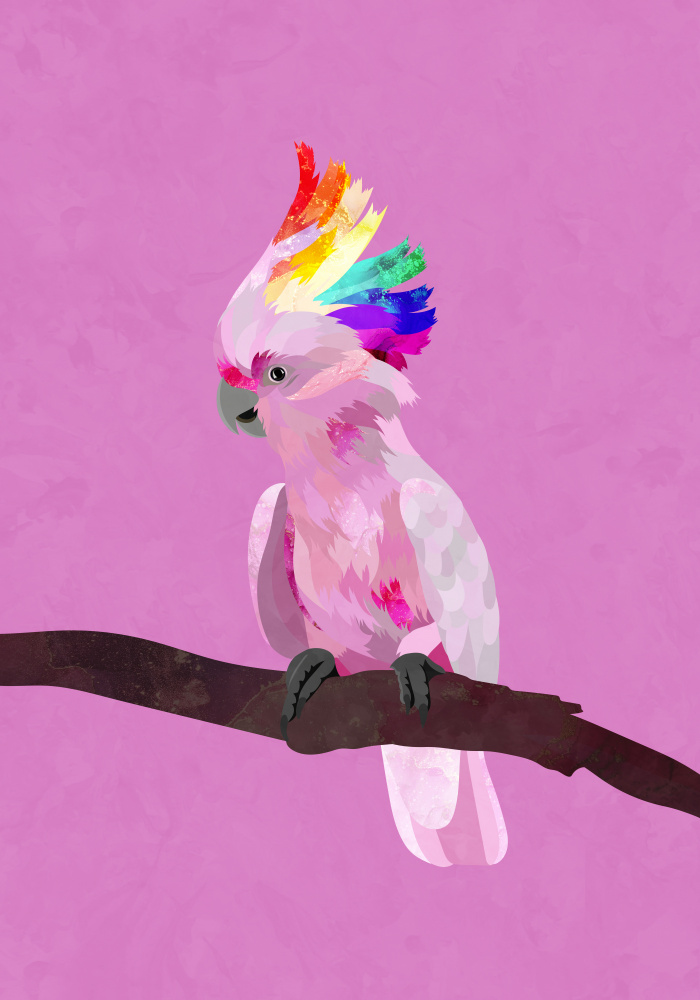 Pride Galah von Sarah Manovski