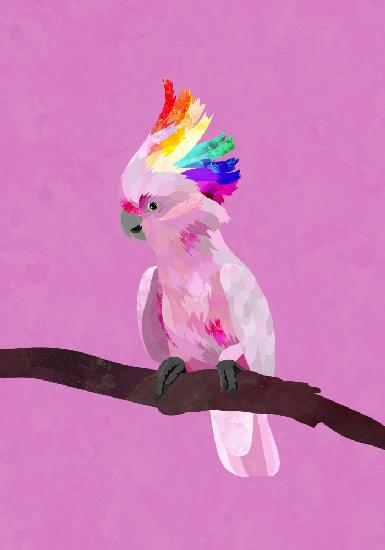 Pride Galah