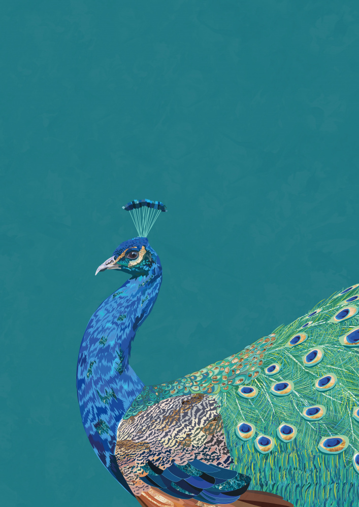 Turquoise peacock von Sarah Manovski