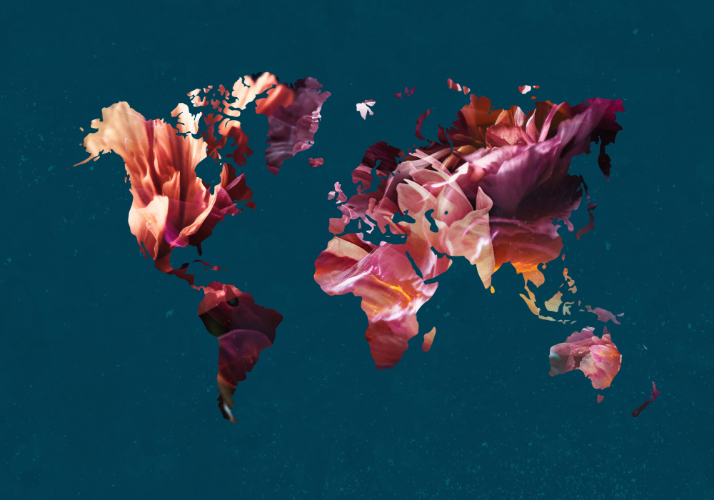 World Map Flowers von Sarah Manovski