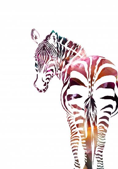 Zebra Silhouette