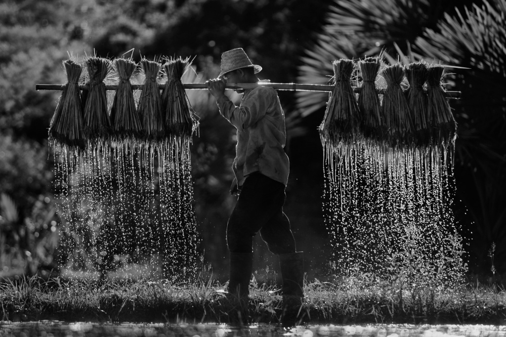 Not heavy von Saravut Whanset