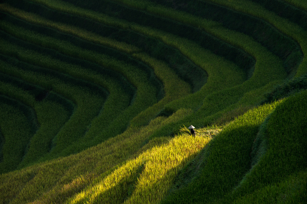 Work alone von Sarawut Intarob