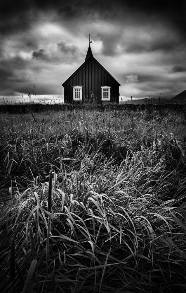 Untamed grass von Saša Krušnik