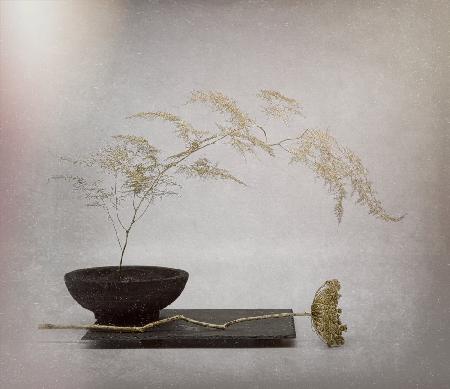 A touch of gold . Zen serie.