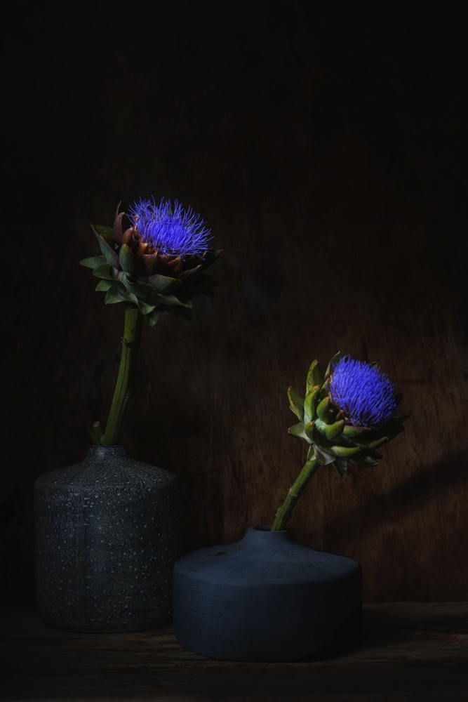 Electric blue. von Saskia Dingemans