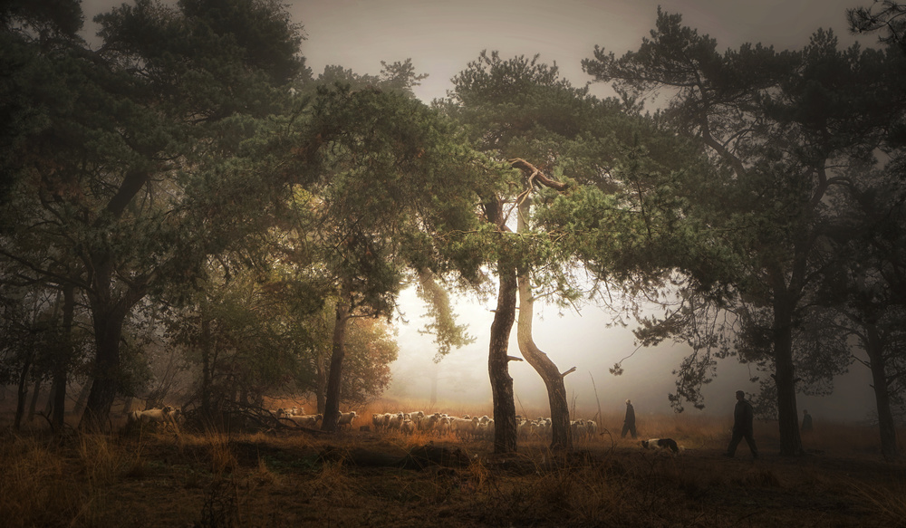 Foggy memory  of the past von Saskia Dingemans