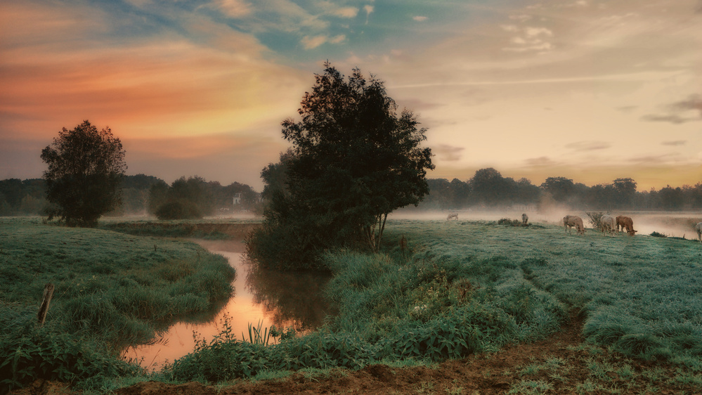 Foggy Dream von Saskia Dingemans