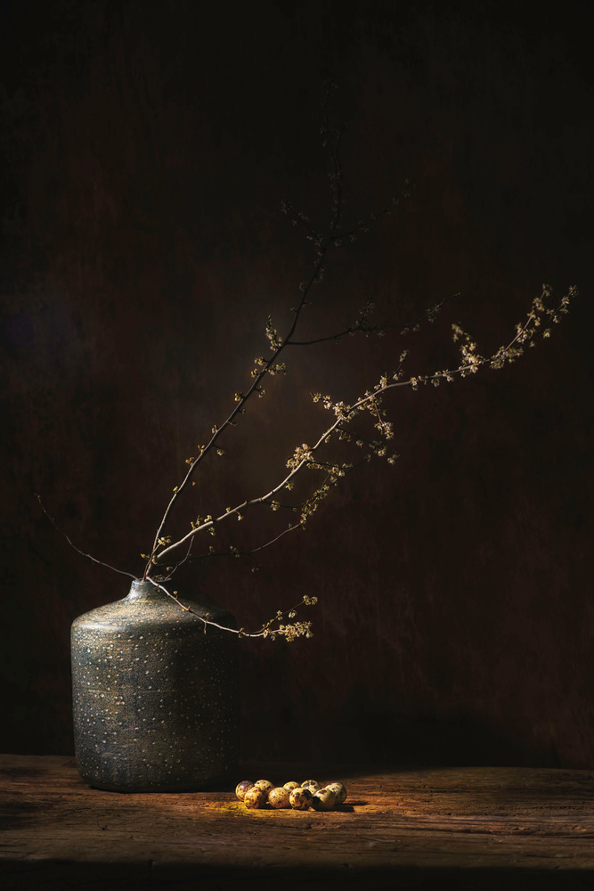 Still life with blossom and eggs von Saskia Dingemans