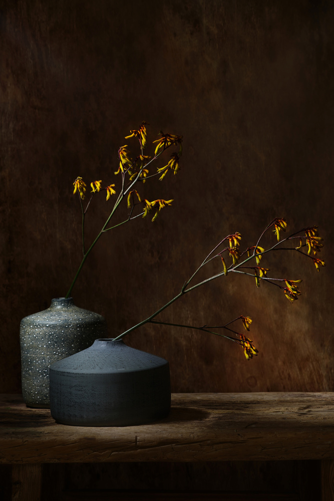 Still life with oker flowers von Saskia Dingemans