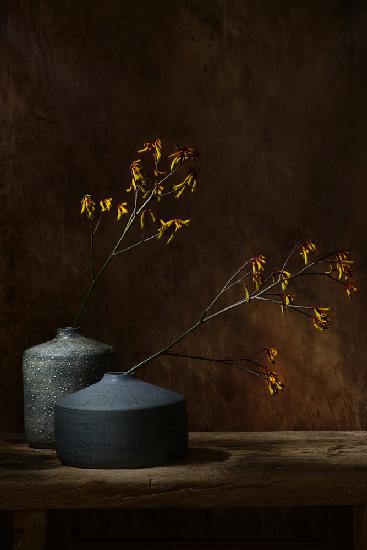 Still life with oker flowers