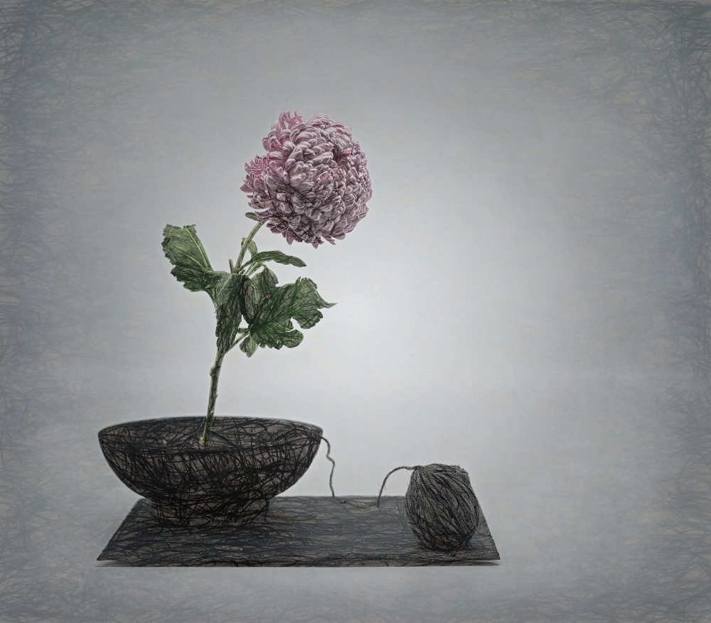 Zen impression with chrysant flower and a twist . von Saskia Dingemans