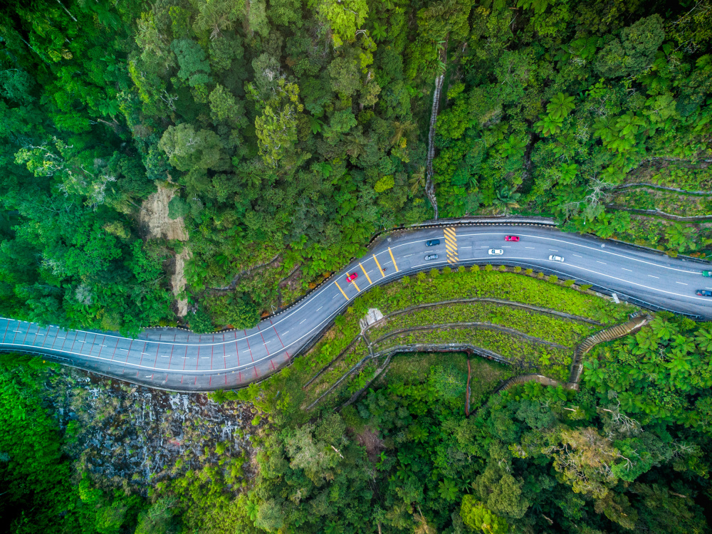 The snake road von Saud A Faisal