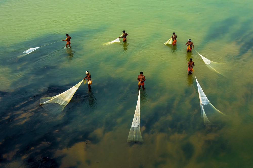 Fishing All Together von Saurabh Sirohiya