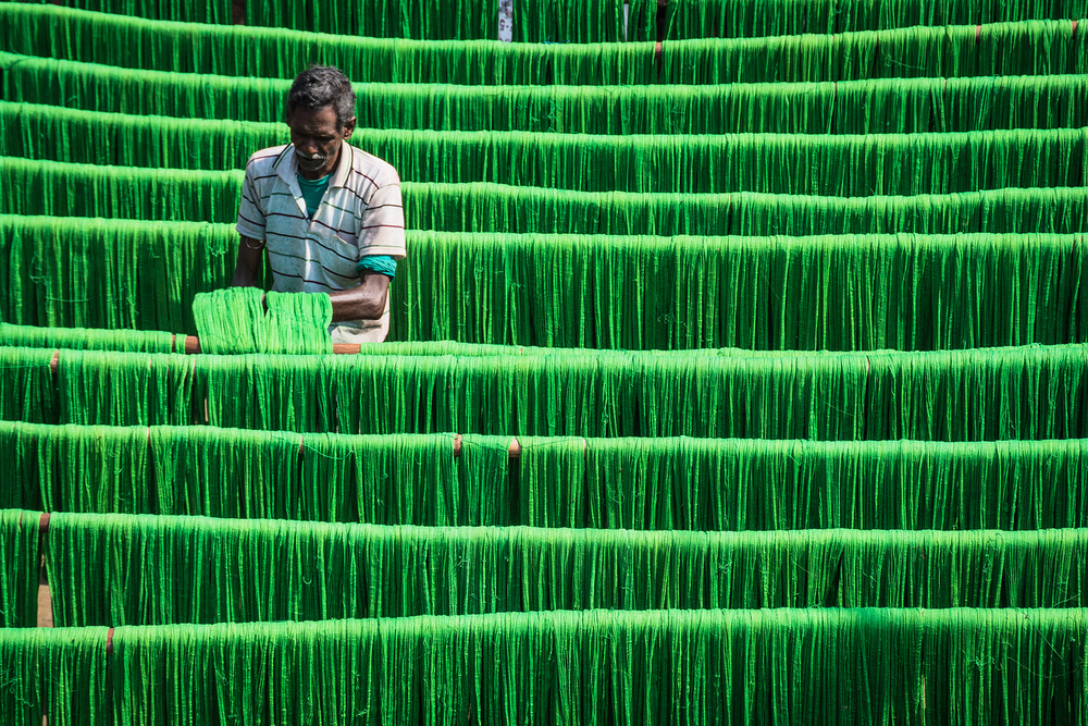 Drying Jute von Saurabh Sirohiya