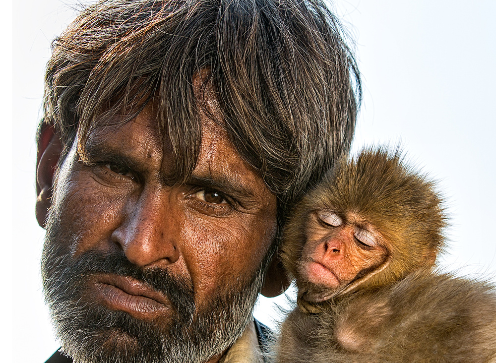 Man &amp; Monkey von Sayyed Nayyer Reza