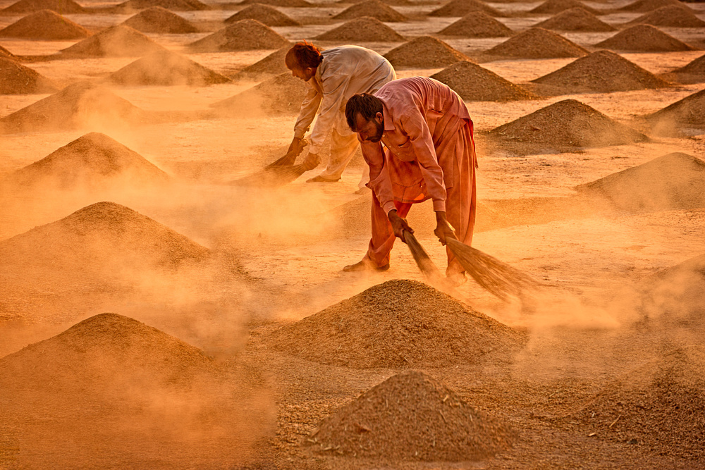 Rice Broomers von Sayyed Nayyer Reza