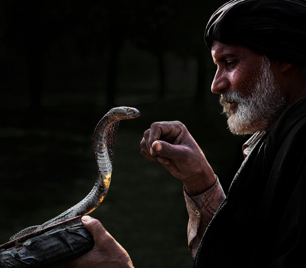 Snake Charmer von Sayyed Nayyer Reza