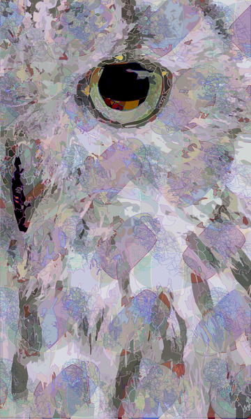 Owl3 von Scott J. Davis