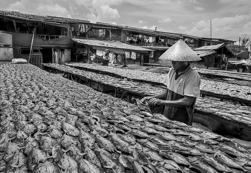 Salt fish farmer von Sebastian Kisworo