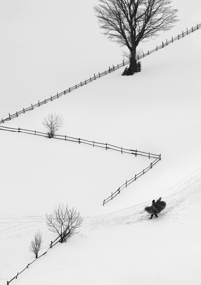 Mountain Rituals von Sebastian Prioteasa