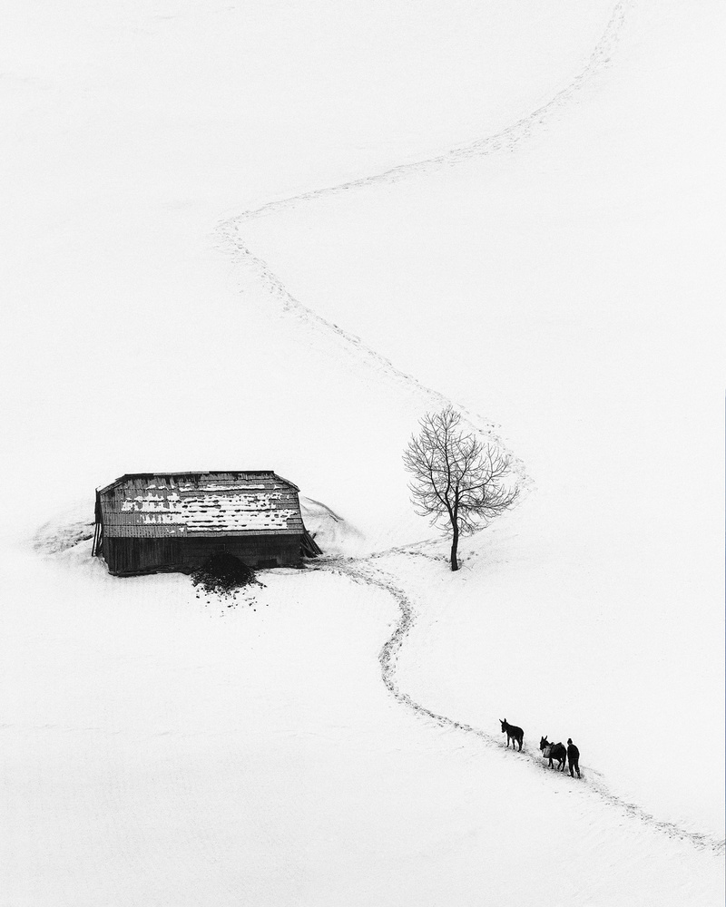 The Stable von Sebastian Prioteasa