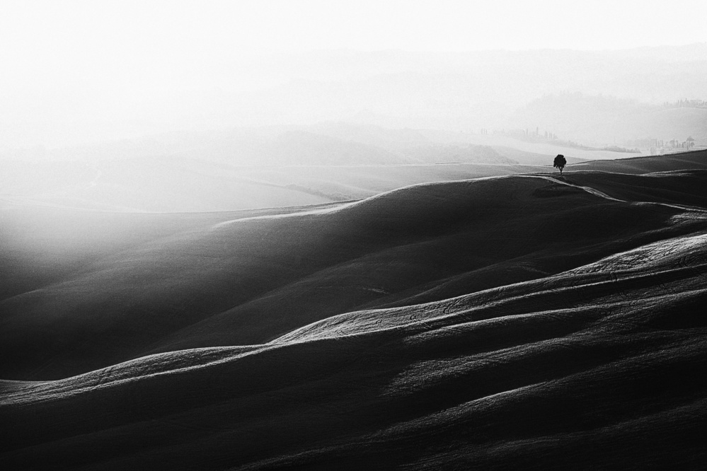 First Light von Sebastian Prioteasa