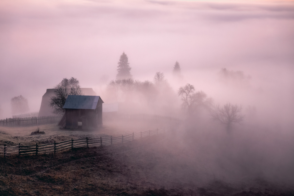 Morning Mist von Sebastian Prioteasa