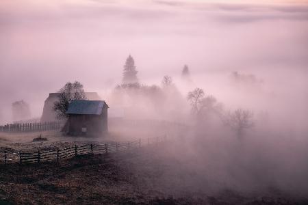 Morning Mist