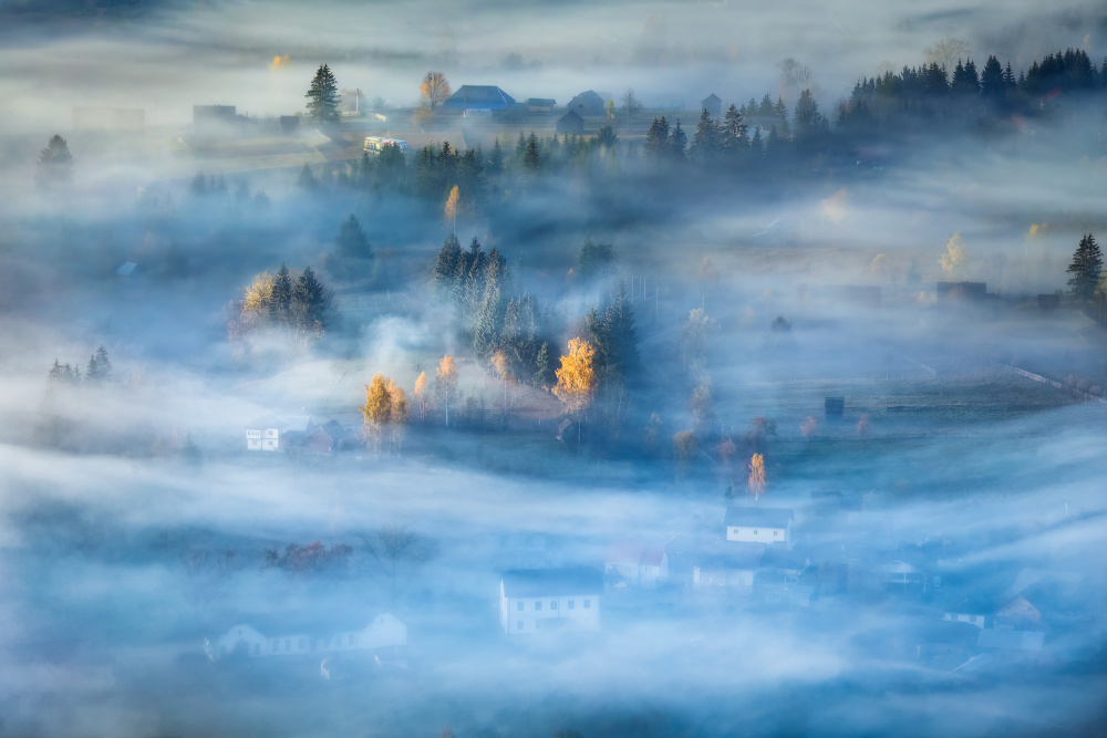 Morning Mist von Sebastian Prioteasa