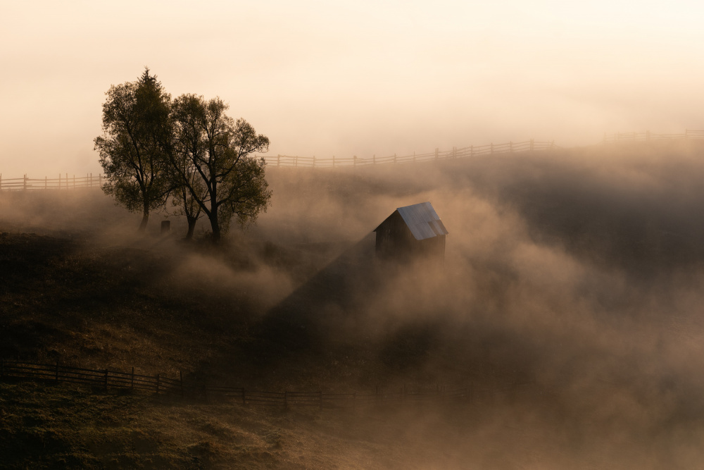 October Light von Sebastian Prioteasa