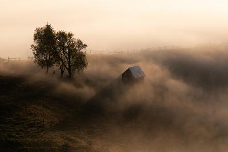 October Light