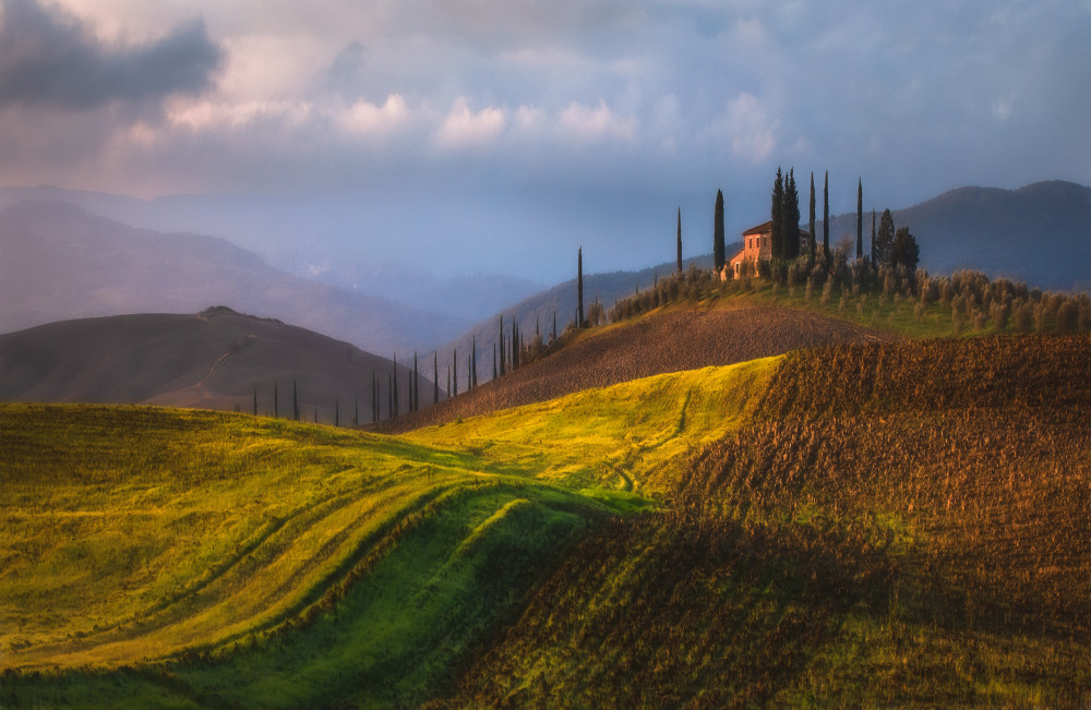 Rolling Fields von Sebastian Prioteasa