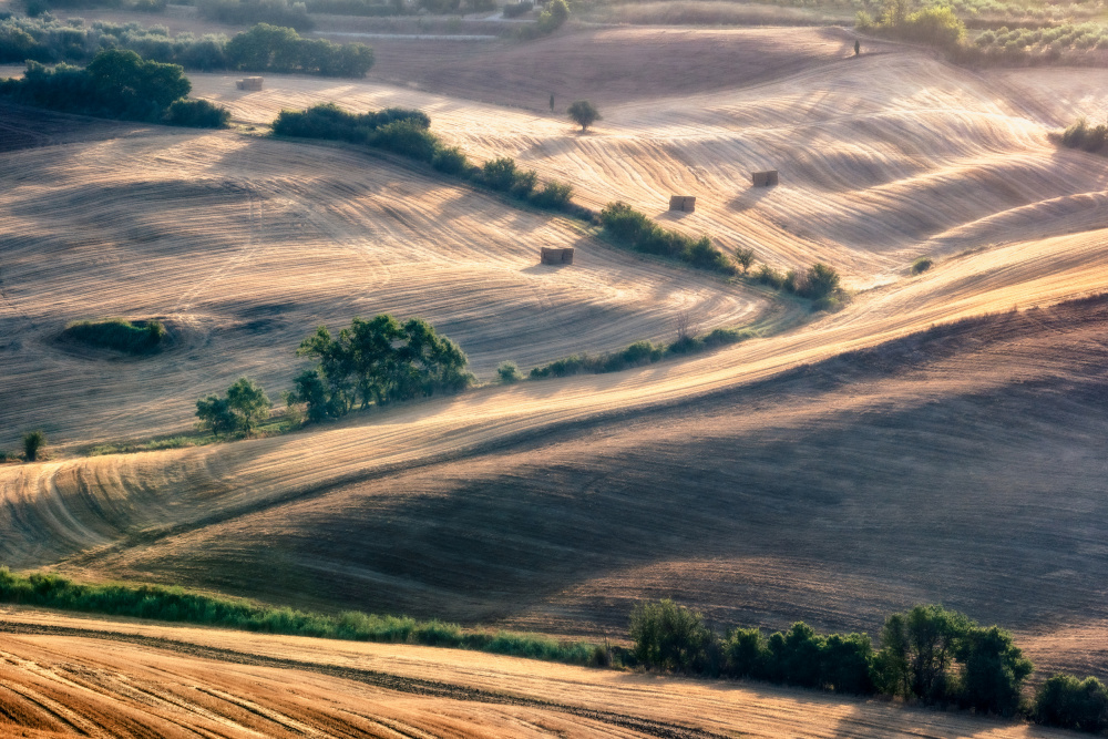 Sunrise von Sebastian Prioteasa