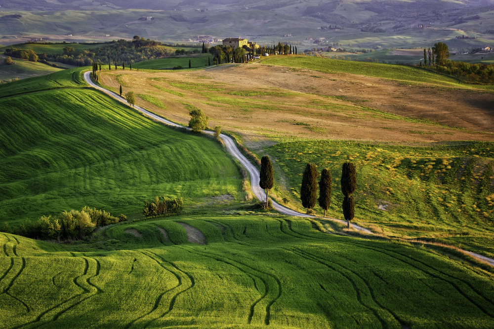 Strade Bianche von Sebastian Prioteasa