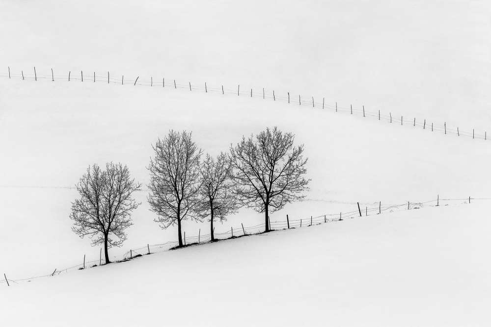 Winter Geometry von Sebastian Prioteasa