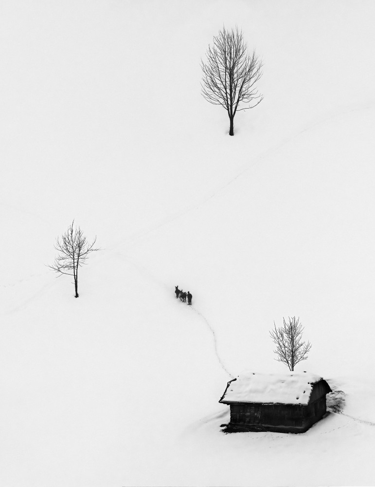 Winter Days von Sebastian Prioteasa